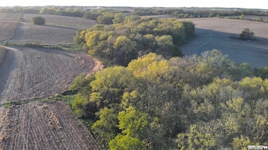 No Situs 80 Ac 612th Ave, Sterling, NE 68443 - photo 2
