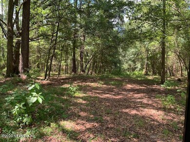 0 Lucky Ln unit 1068157, Middleburg, FL 32068 - photo 4