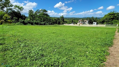 111 Carr Prairie, San Sebastián, PR 00685 - photo 6