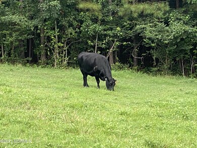 1069 Reed Rd, Castalia, NC 27816 - photo 4