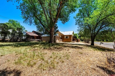 111 E 31st St, Durango, CO 81301 - photo 7