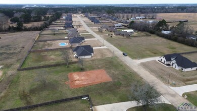 4502 Windsor Park Ln, Kilgore, TX 75662 - photo 4