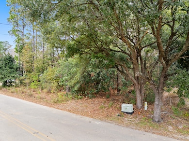 521 Hill St, Moncks Corner, SC 29461 - photo 2