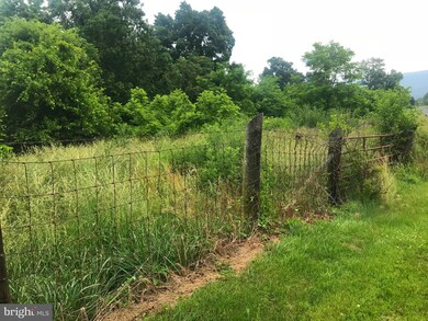 TBD Palmyra Church Rd, Edinburg, VA - photo 3