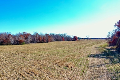 Tbd Flamingo St, Isanti, MN 55040 - photo 3