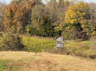 270 Higgins Rd, Woodbury, TN 37190 - photo 6