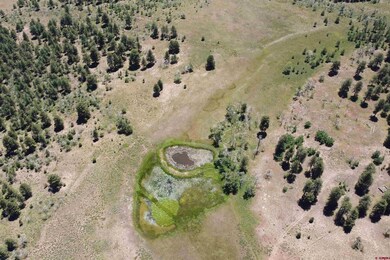 161 AC TBD Kahvah Ln, Placerville, CO 81430 - photo 7