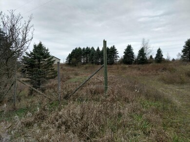 IMG_20171114_155601577_HDR