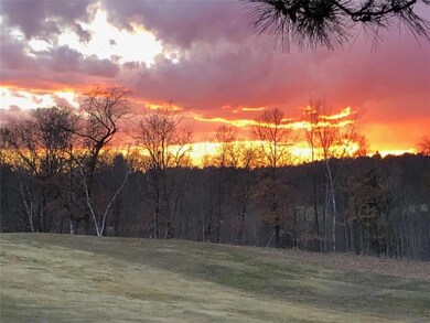 Beautiful little fury friend that has babies in the woods every year!