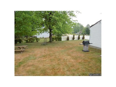 Another view of back yard.