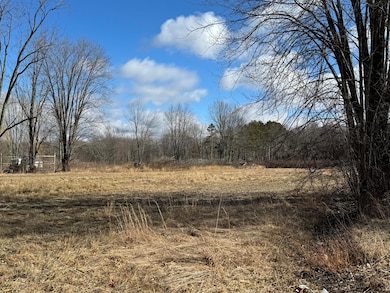 29441 M 140 Hwy, Covert, MI 49043 - photo 3