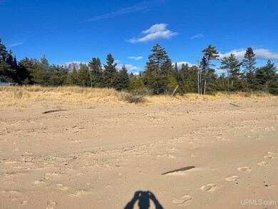 TBD Hemlock View Trail, Thompson Township, MI 49854 - photo 6