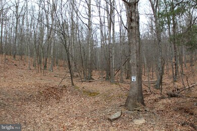 LOT 4 Helmick Rock-Trout Pass Rd, Mathias, WV 26812 - photo 4