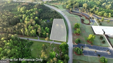 Sandtown Road Unit: 1 2+ - Acre, West Point, GA 31833 - photo 3