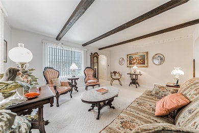 5327 Carek Ct, Lorain, OH 44055 - photo 5