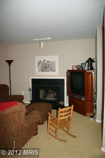 12916 Acorn Hollow Ln, Silver Spring, MD 20906 - photo 6