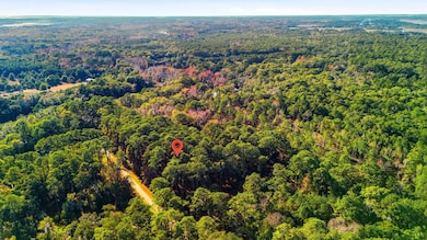 7783 Chaplin Garden Ln, Edisto Island, SC 29438 - photo 4