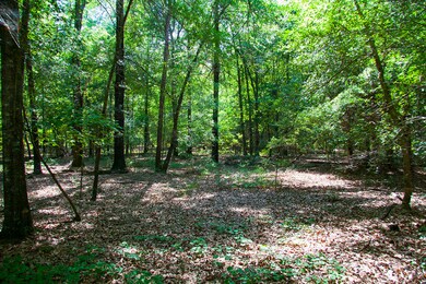 Springhill D-05