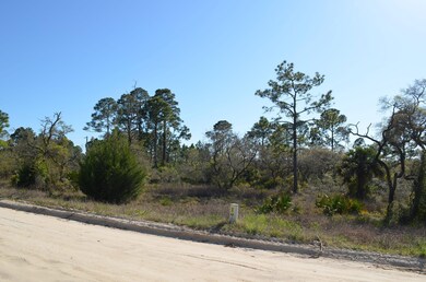 000 Yates Creek Rd unit 2, Perry, FL 32348 - photo 5