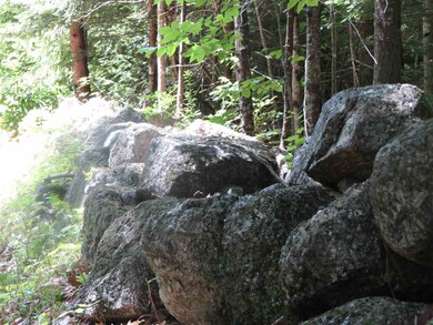 0 Old Perkins Rd unit 8 4652194, Meredith, NH 03253 - photo 6