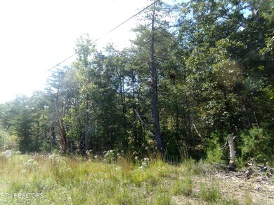 3020 Oswego Rd, Crossville, TN 38572 - photo 5