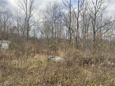 231 & 265 Big Oak Rd, Malta, OH 43787 - photo 2