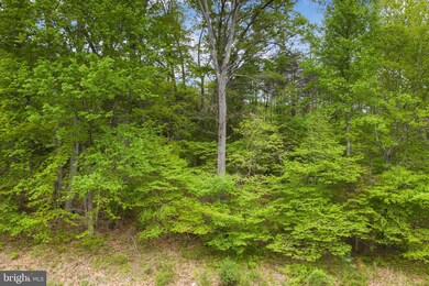 5400 Chandley Farm Ct, Centreville, VA 20120 - photo 7