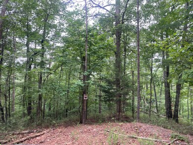 741 Forge Ct, Ranger, GA 30734 - photo 5