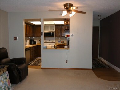 13800 E Marina Dr unit 211, Aurora, CO 80014 - photo 4