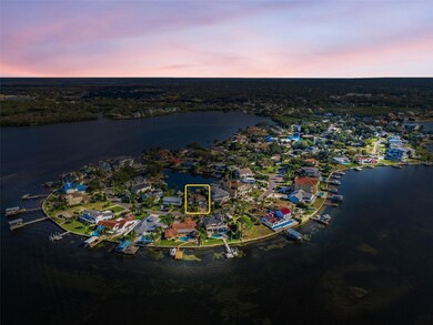 110 Carlyle Cir, Palm Harbor, FL 34683 - photo 4