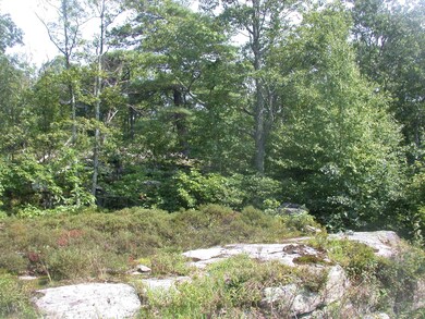 104 Blue Heron Way, Hawley, PA 18428 - photo 6