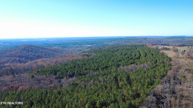 11 Tresa St, Crossville, TN 38572 - photo 3