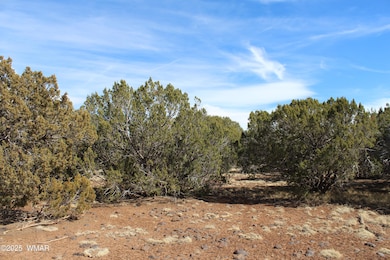 Jason Kempski SL Pines 6 (2)