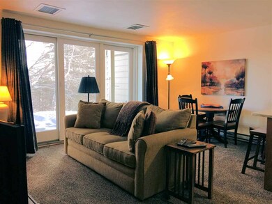 388 Ethan Allen Trail unit B2, Peru, VT 05152 - photo 7