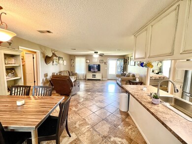 3971 Quillie Jones Rd, Adel, GA 31620 - photo 2