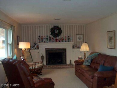 10931 Larch Ave, Hagerstown, MD 21740 - photo 4