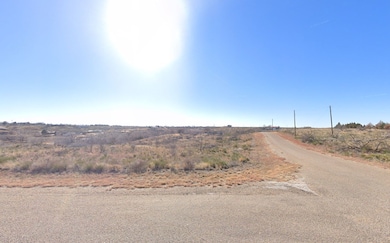 Bluff View unit Fritch TX 79036, Fritch, TX 79036 - photo 5