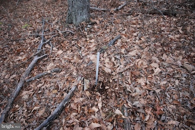 Lot 88 Wakeman Dr, Augusta, WV 26704 - photo 4