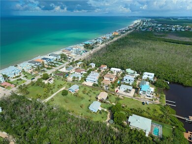 27553 Hickory View Dr, Bonita Springs, FL 34134 - photo 4