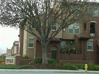 1782 Camino Leonor, San Jose, CA 95131 - photo 2