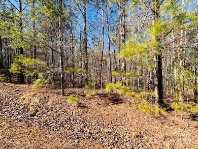 0 Creekside Cir unit 110 CAR4219289, Rutherfordton, NC 28139 - photo 3