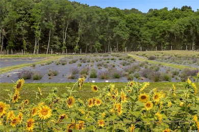 Sunflowers - Combined property 27.07 acres