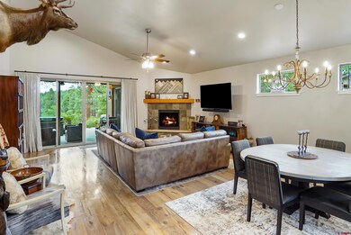 250 Edgemont Meadows Rd, Durango, CO 81301 - photo 4