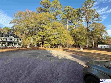 000 Fox Chase Way, Hartsville, SC 29550 - photo 3