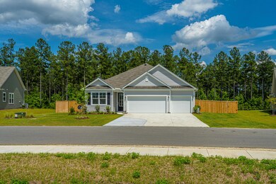 1146 Wading Point Blvd, Huger, SC 29450 - photo 2