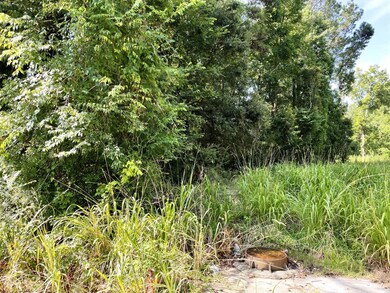 Sewer and public water available!