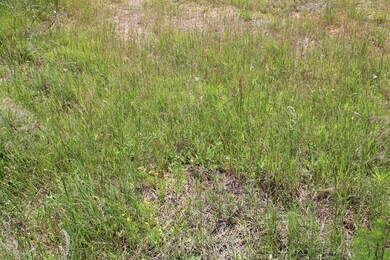 0 Cr 820 unit 62479, Nacogdoches, TX 75969 - photo 2