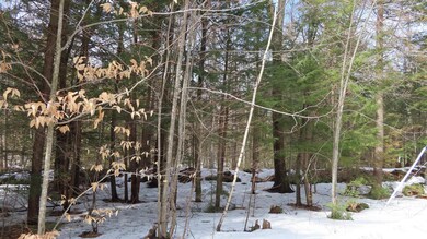 47 Juniper Ridge Rd, Gilford, NH 03249 - photo 6