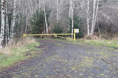 0 U S 101, Raymond, WA 98577 - photo 5