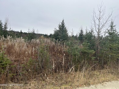 32814 Stacey Ln, Anchor Point, AK 99556 - photo 2